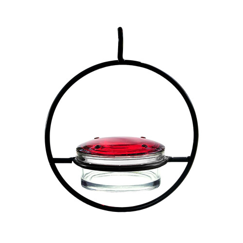 Sturdy Red Bowl Hummingbird Feeder