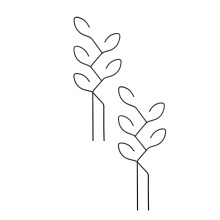 Support d'escalade pour plantes en fer, durabilité, treillis