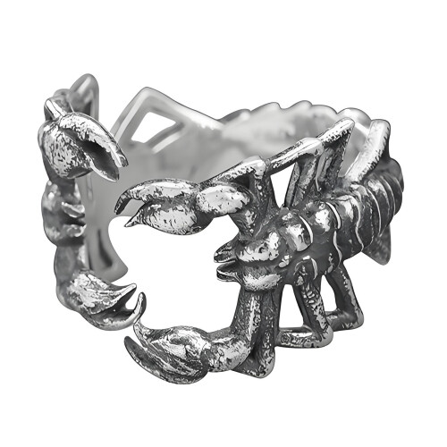 Bijoux gothiques ouverts en forme de Scorpion, bagues ouvertes