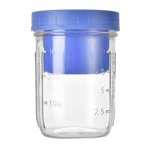 Picnics and Camping Glass Salad Jar Fruit Container with-Blue