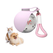 Tragbare Trinkflasche für Haustiere, 285 ml, aus Edelstahl, auslaufsicher, für Hunde und Katzen, mit klappbarem Silikond