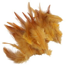 300Pcs Colorful Craft Feather 7-15CM Long Natural-golden