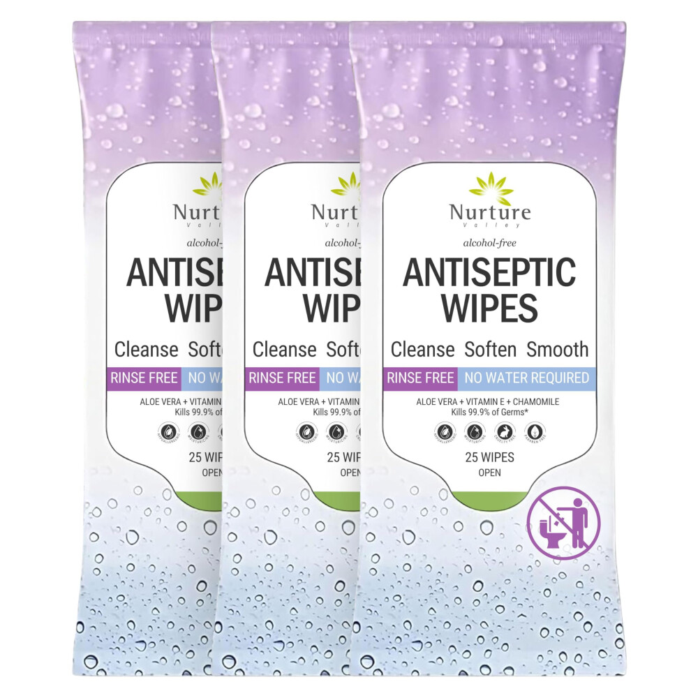 Nurture Valley Nurture Xl Antibacterial Body & Hand Wipes | Alcohol-Free Antiseptic Wet Sanitizer Towelettes For Germ Removal, Disinfecting Skin, Sanitizing Hands |C