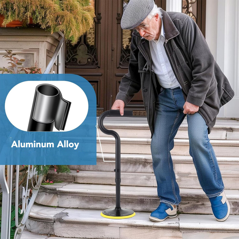 Lightweight Standing Aid 600lb Capacity