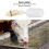 ABS Float Ball Valve for Water Trough 1
