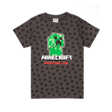 (11-12 Years) Minecraft Short Sleeved T-Shirt (Boys Grey)