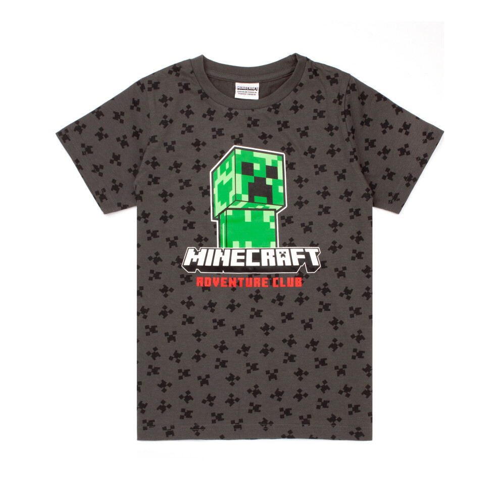 Minecraft (11-12 Years) Short Sleeved T-Shirt (Boys Grey)