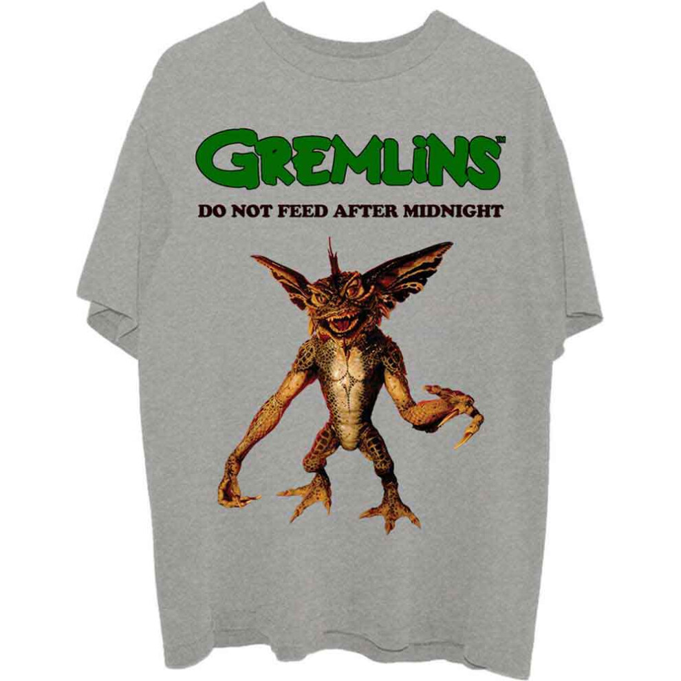 Warner Bros (Xl, ) Gremlins Stripe Do Not Feed T Shirt Grey