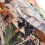 Compact Fishing Camouflage Rain Poncho 1