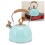 Stainless Whistling Tea Kettle 2.5L 1