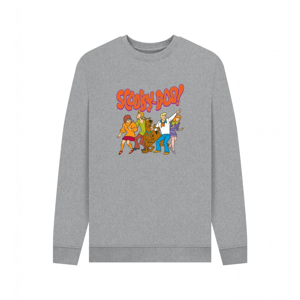 Scooby Doo (Xl, Light Heather) Unisex Adult Gang Sweatshirt Multicoloured
