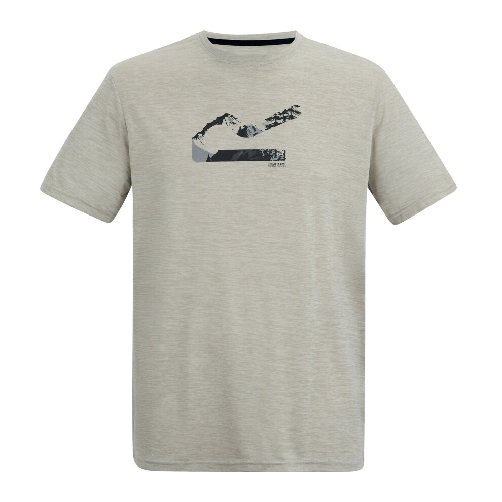 Regatta (5Xl, Abbeystone Marl) Mens Fingal Landscape Marl T-Shirt Multicoloured