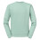 Russell (S, Eucalyptus) Russell Mens Authentic Sweatshirt 1