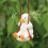 Leuke slingerende eend hanger, slingerende eend autoversiering, slingerende eend autospiegelversiering, verjaardagscadeaus 1