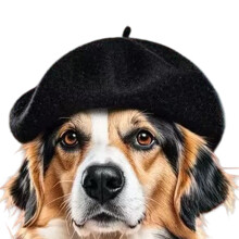Pet Wool Baret Hat Warme muts voor kleine rassen Katten-Zwart
