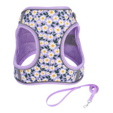 Duurzaam puppytuigje voor kleine honden Easy Walk-Paarse XS
