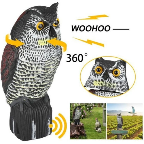 Vogelscheuche - GaoDiRiYong - Drehende Eule - Gartenschutz - Realistisch - Grauer Kunststoff