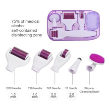 Vvikizy 6-in-1 Micro-Needle Roller Derma Roller 12/300/720/1200 Micronaalden voor Gezicht, Lichaam en Huidverzorging - Schoonheids- en