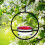 Red Bowl Garden Hummingbird Feeder 20