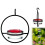 Sturdy Red Bowl Hummingbird Feeder 11
