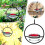 Durable Plastic and Metal Feeder 18