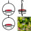 Sturdy Red Bowl Hummingbird Feeder 16