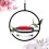 Sturdy Red Bowl Hummingbird Feeder 17