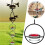 Sturdy Red Bowl Hummingbird Feeder 18