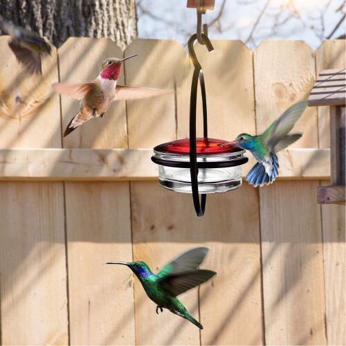 Durable Plastic and Metal Feeder 1