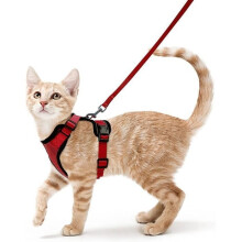 Kleiner Hunde- und Katzengeschirr, verstellbares Katzengeschirr mit reflektierenden Details, atmungsaktives Halsband und Weste mit Leine