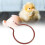 Circular Replacement Heater for Incubator 200W 7