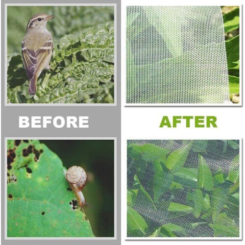 Insect netting, 2.5 x 10 m mesh, for garden, vegetable patch, vegetables 1
