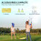 2.8-Meter Portable Folding Badminton Net Set 4