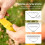 2.8-Meter Portable Folding Badminton Net Set 5