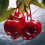 Caramanfruit Sour Red Cherry Fruit Puree, 1kg 2