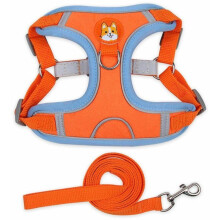 Borsttuigje - MAAT LARGEIGHT - Oranje - Reflecterend - Ademend - Voor honden en katten
