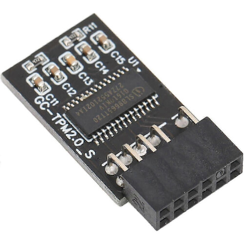 Módulo de segurança de criptografia TPM 2.0, interface LPC de 12 pinos, compatível com placas-mãe Gigabyte.