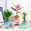 Lazy Hydroponic Self-Watering Flower Pot - Transparent Double-Layer Desktop Planter (Blue) 2
