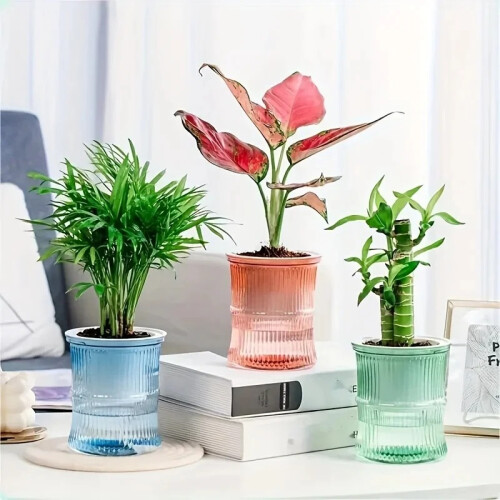 Lazy Hydroponic Self-Watering Flower Pot - Transparent Double-Layer Desktop Planter (Blue) 1