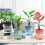 Lazy Hydroponic Self-Watering Flower Pot - Transparent Double-Layer Desktop Planter (Blue) 3