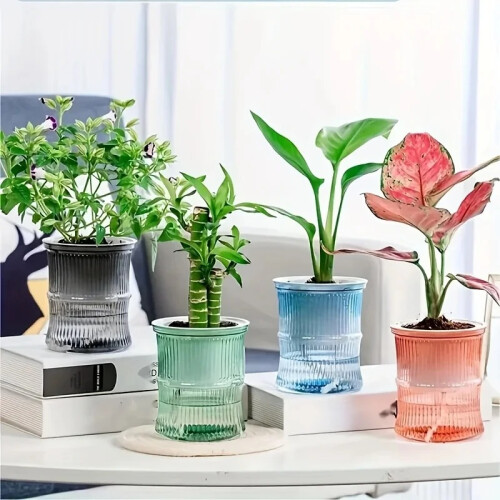 Lazy Hydroponic Self-Watering Flower Pot - Transparent Double-Layer Desktop Planter (Blue) 2