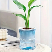 Lazy Hydroponic Self-Watering Flower Pot - Transparent Double-Layer Desktop Planter (Blue)