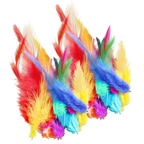 300Pcs Assorted Colored Feather 7-15CM Natural-Mixed colors