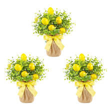 Arrangements en pot élégants sur le thème du citron, Solution de