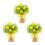 Arrangements en pot élégants sur le thème du citron, Solution de 1