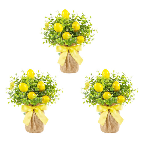 Arrangements en pot élégants sur le thème du citron, Solution de