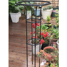 Plastic Coated Steel Plant Trellis 95cm
