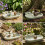 Sage Ceramic Bird Bath Garden Decor Wild Bird Water Bowl 2