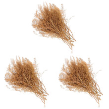 3Boîtes Décorative Miniature En Bois Brune Pour DIY
