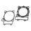 1032020119 Polaris 500 Head Gasket Kit 1